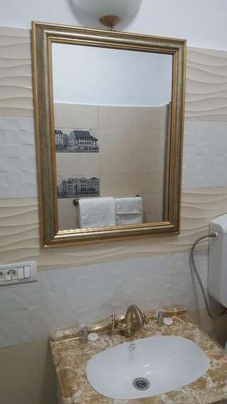 Гостевой дом Zira Residence Брашов Номер с кроватью размера "king-size" и гидромассажной ванной-26